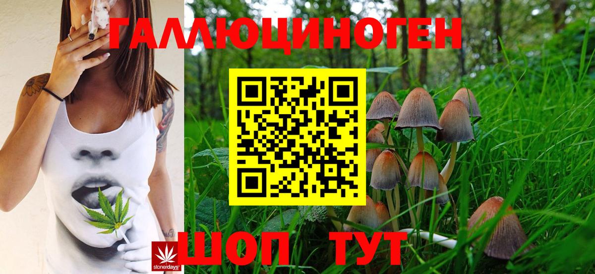 Псилоцибиновые грибы Psilocybe  Псилоцибиновые грибы GOLDEN TEACHER  где продают   Спасск-Дальний  Вход с VPN 